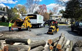 Best Lawn Mowing  in Southern Gateway, VA