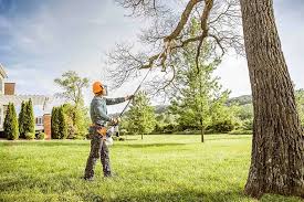  Southern Gateway, VA Tree Services Pros