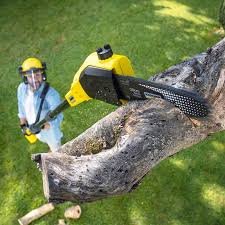 Lawn Watering Services in Southern Gateway, VA