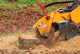 Best Lawn Maintenance Plans  in Southern Gateway, VA