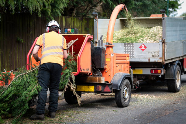 Best Tree Preservation Services  in Southern Gateway, VA